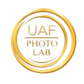 Sponsor logo 2